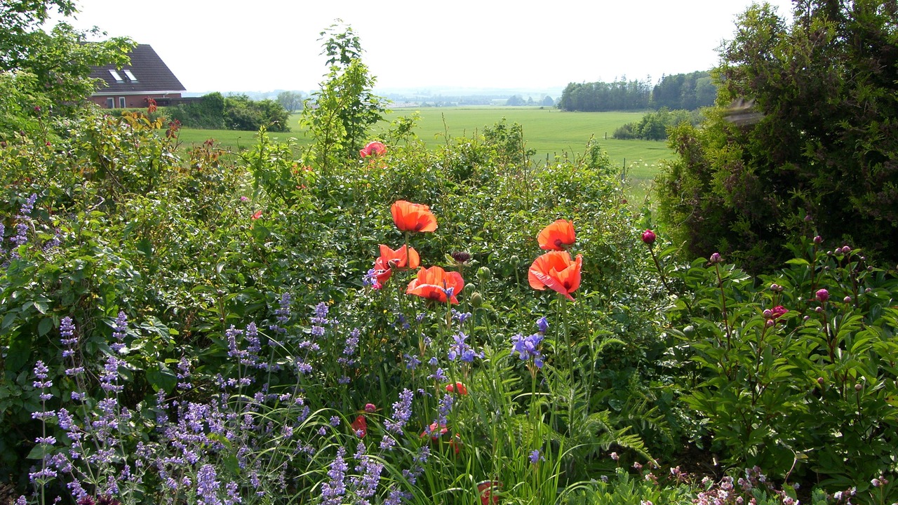 Photo of Outdoor in Borre