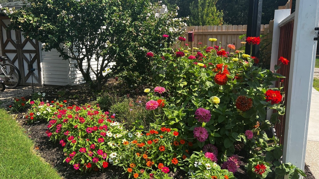Photo of Outdoor in Douglas