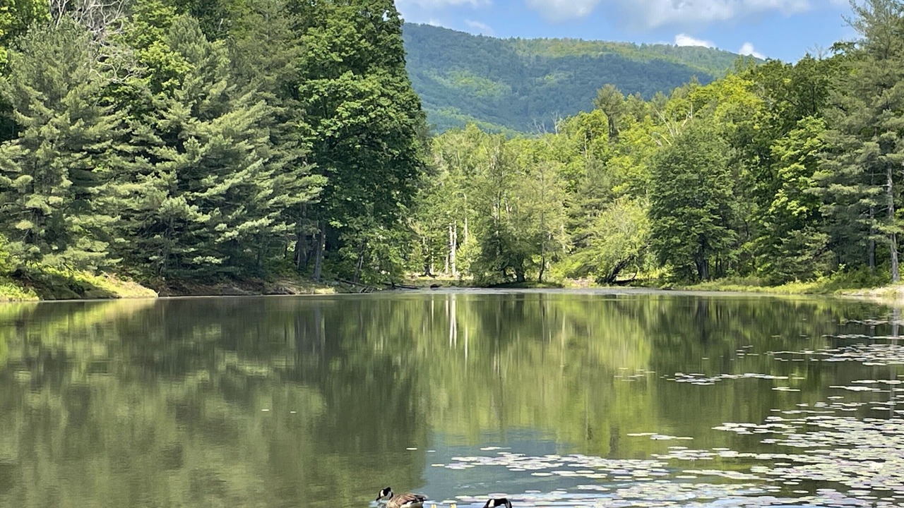 Photo of Outdoor in Crozet