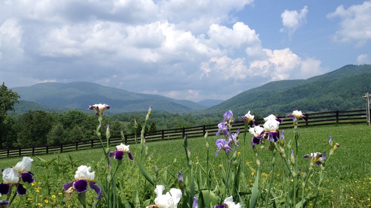 Photo of Bathroom in Crozet