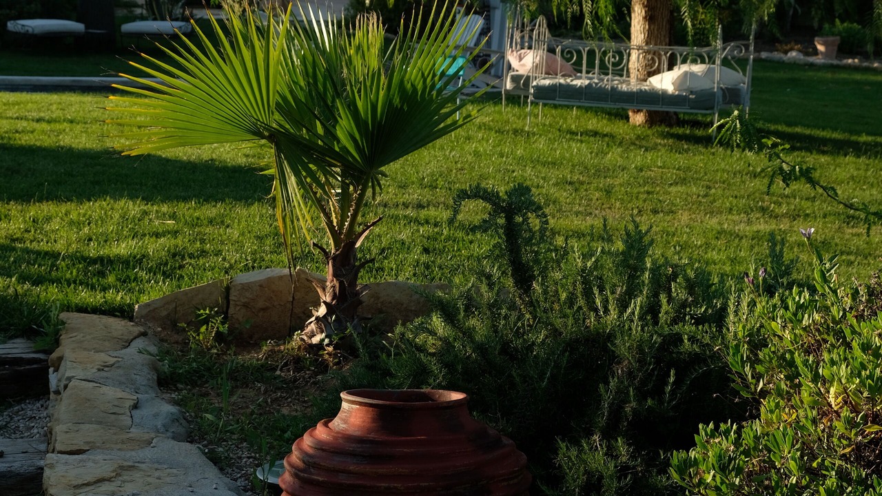 Photo of Outdoor in Saint-Cyr-sur-Mer