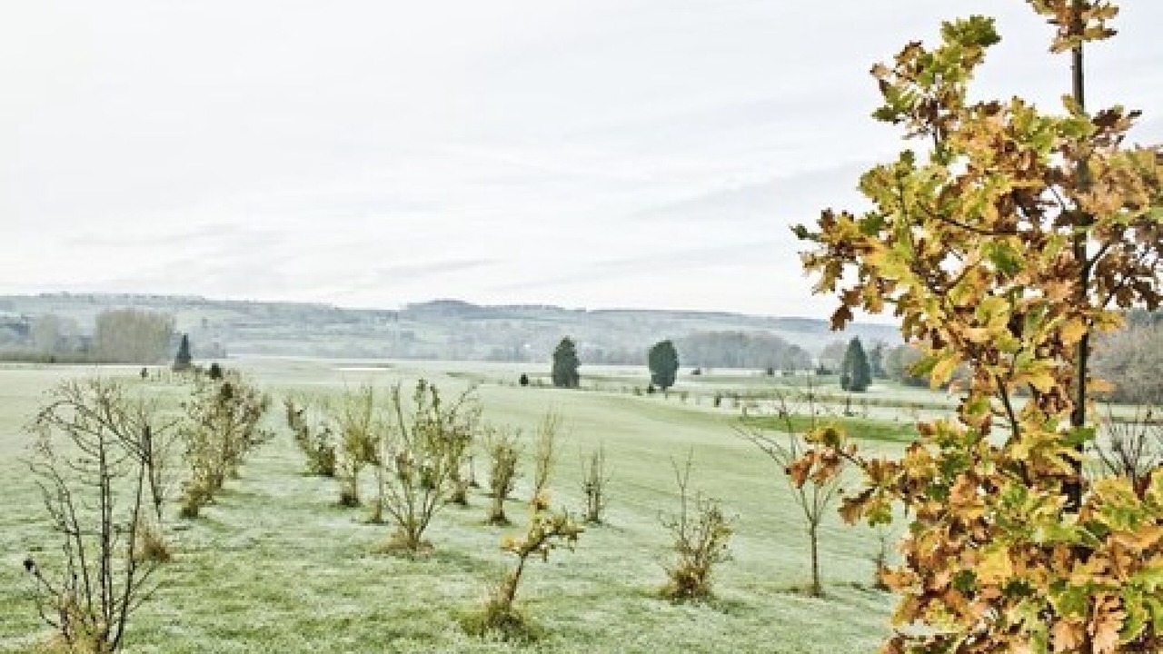 Photo of Outdoor in Putley