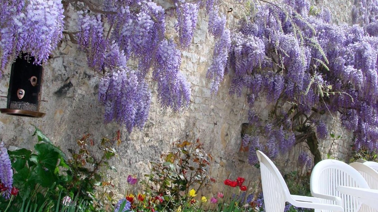 Photo of Outdoor in Chagny