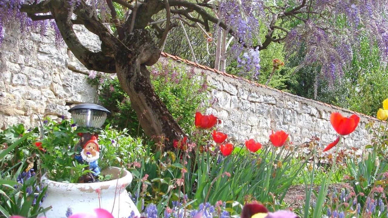 Photo of Outdoor in Chagny