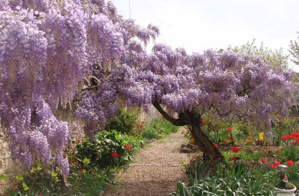 Photo of Outdoor in Chagny