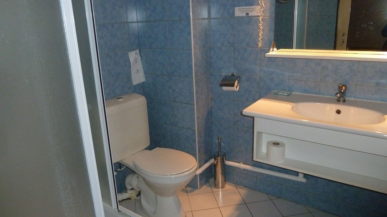 Photo of Bathroom in Auriol