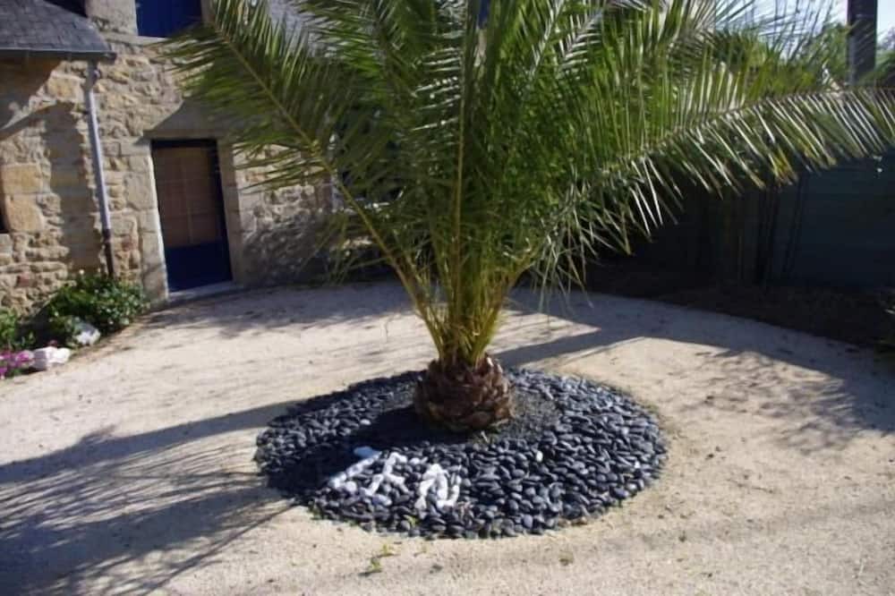 Photo of Outdoor in Nostang