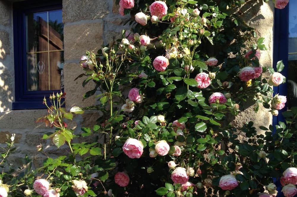 Photo of Outdoor in Nostang