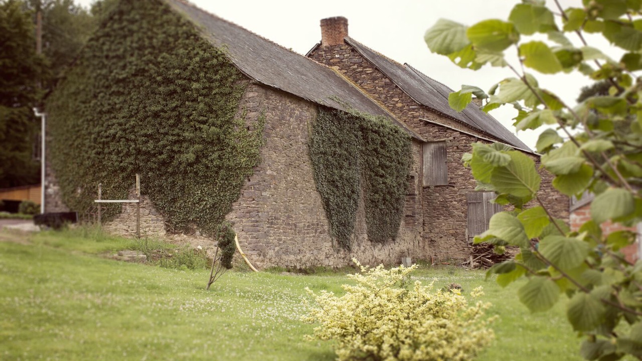 Photo of Outdoor in Saint-Malon-sur-Mel