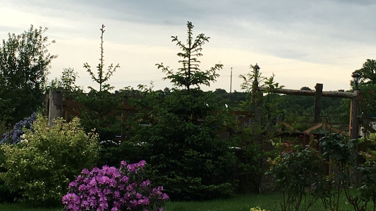 Photo of Outdoor in Saint-Malon-sur-Mel