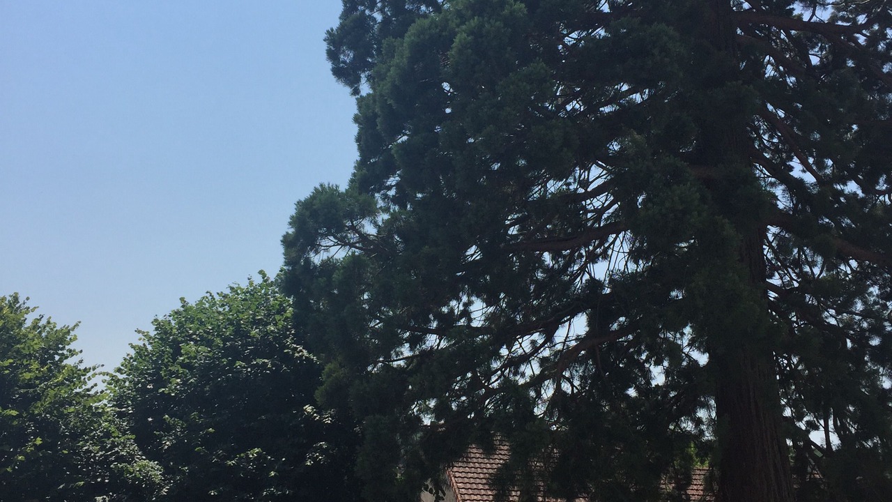 Photo of Bedroom in Saint-Amand-Montrond