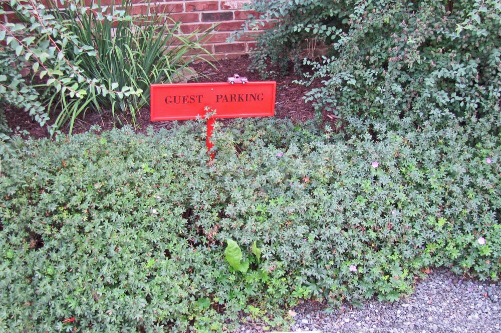 Photo of Others in Vineland