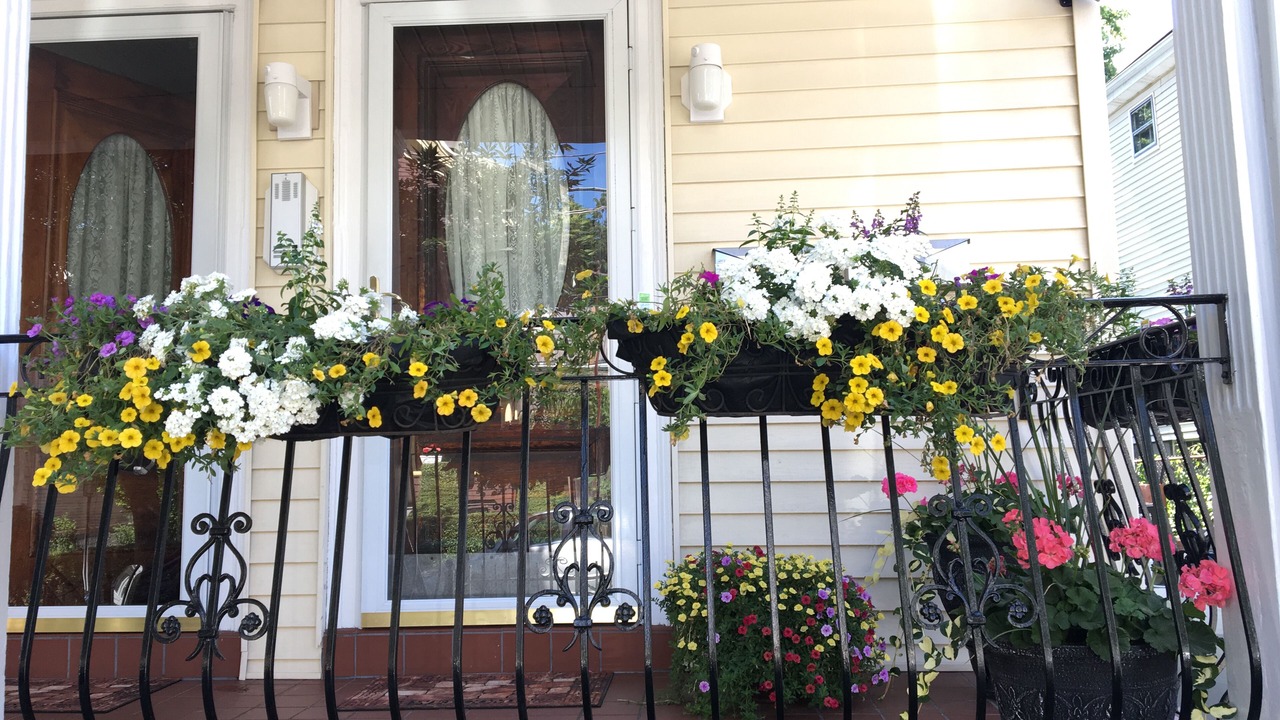 Photo of Outdoor in Winter Hill