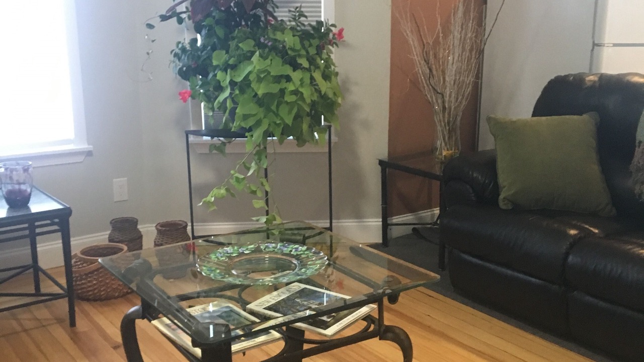 Photo of Livingroom in Winter Hill