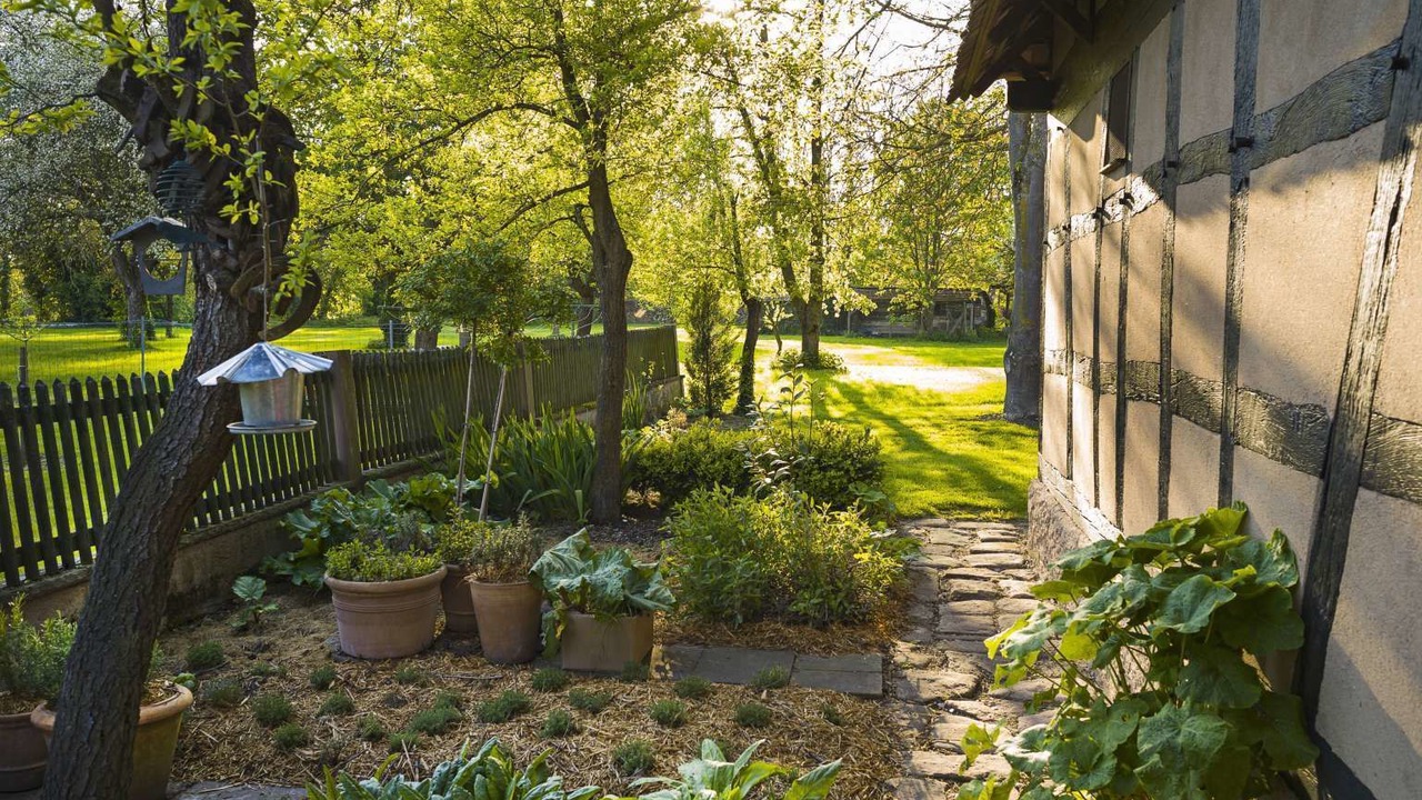 Photo of Outdoor in Selestat