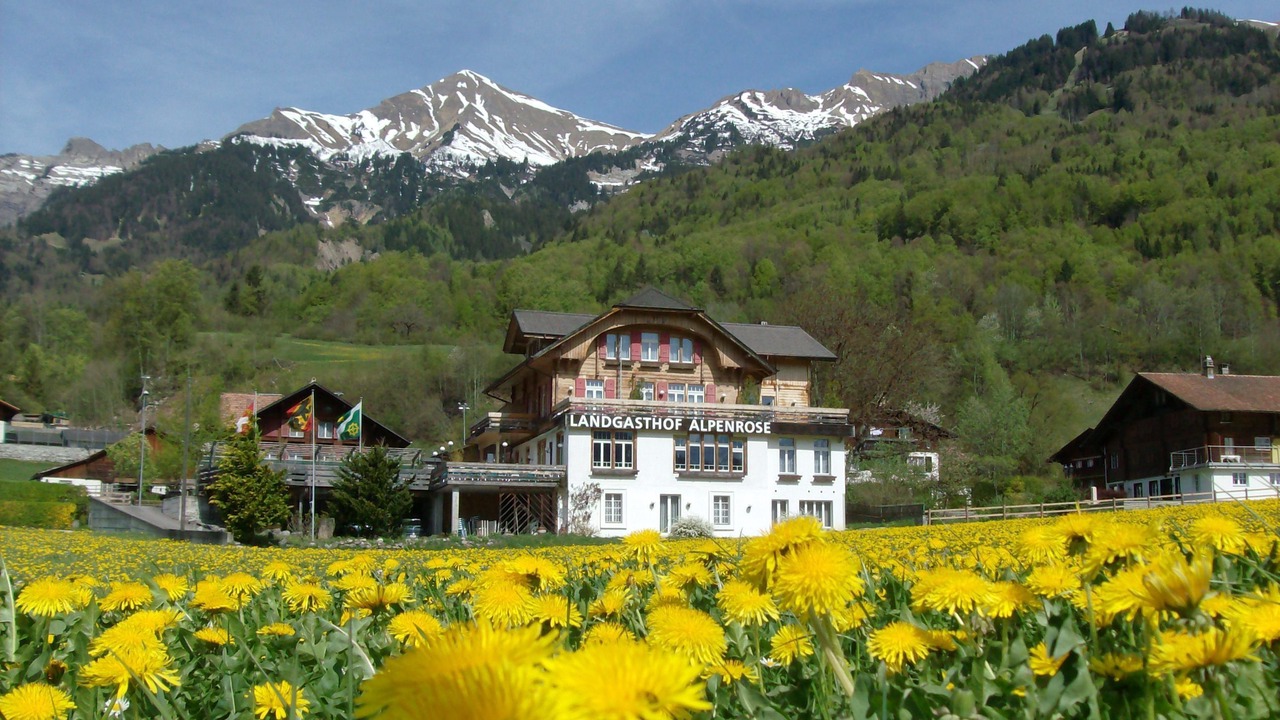 Photo of Outdoor in Hofstetten bei Brienz