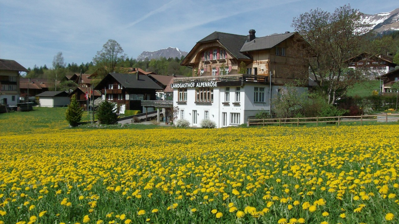 Photo of Outdoor in Hofstetten bei Brienz