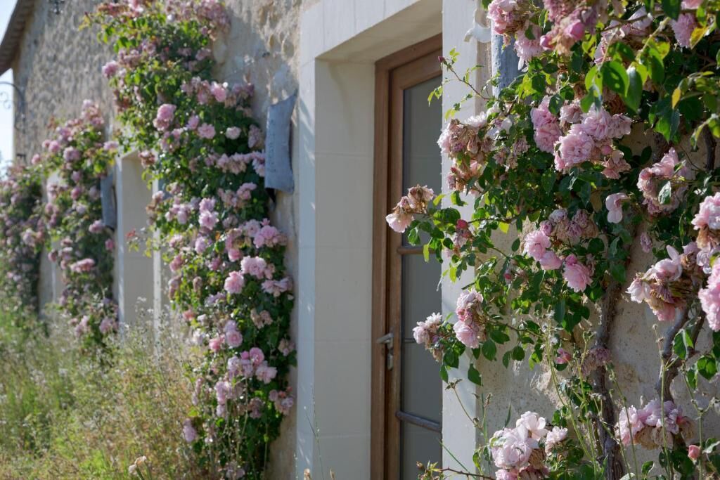 Photo of Outdoor in Ambillou