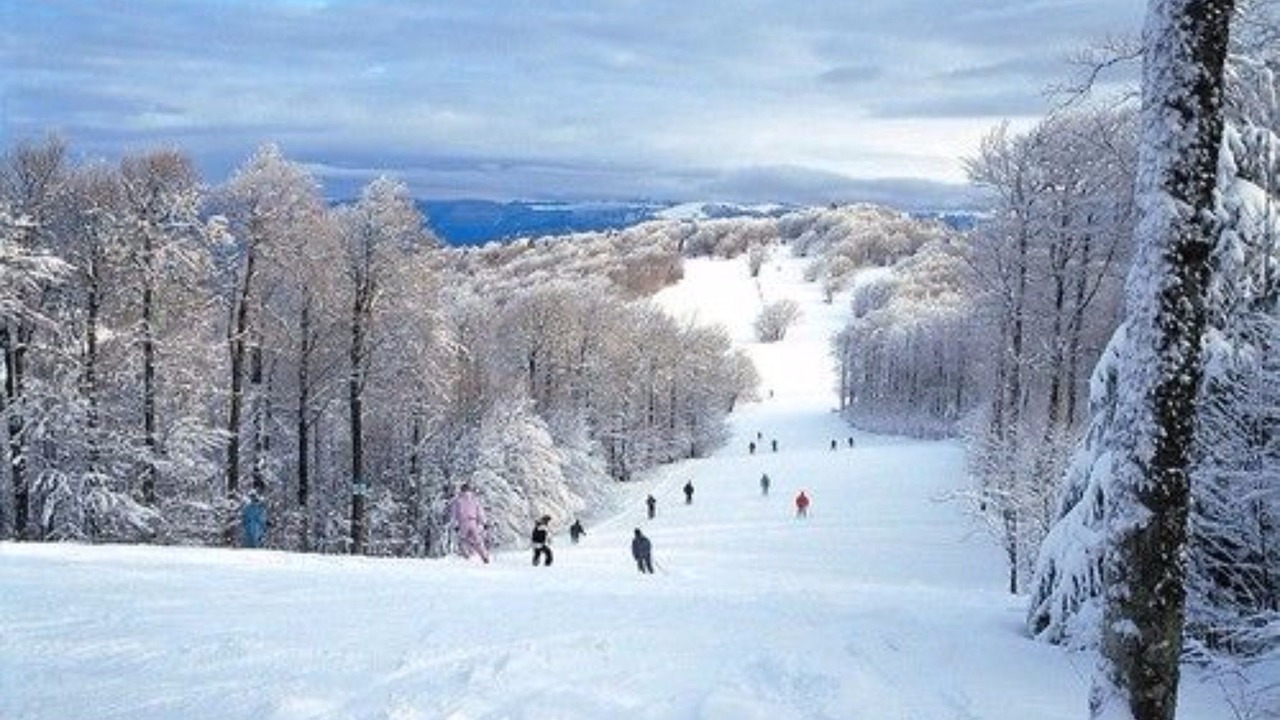 Photo of Others in Bussang