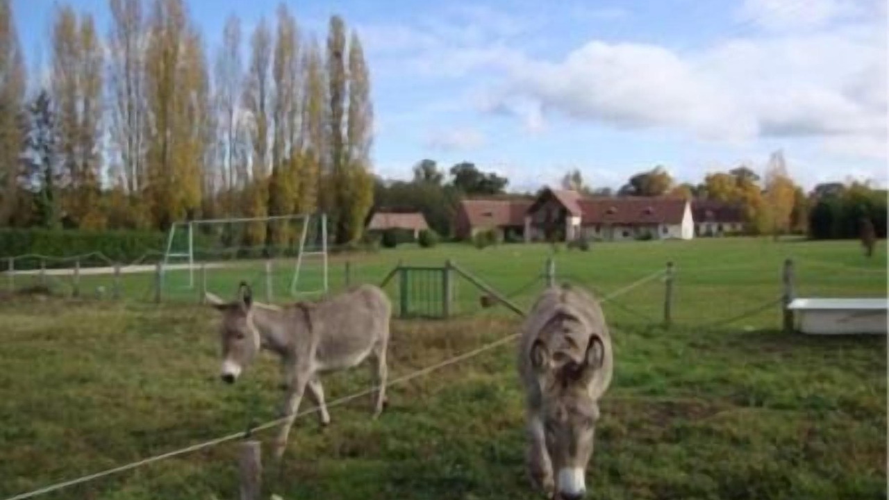 Photo of Outdoor in Fougeres-sur-Bievre