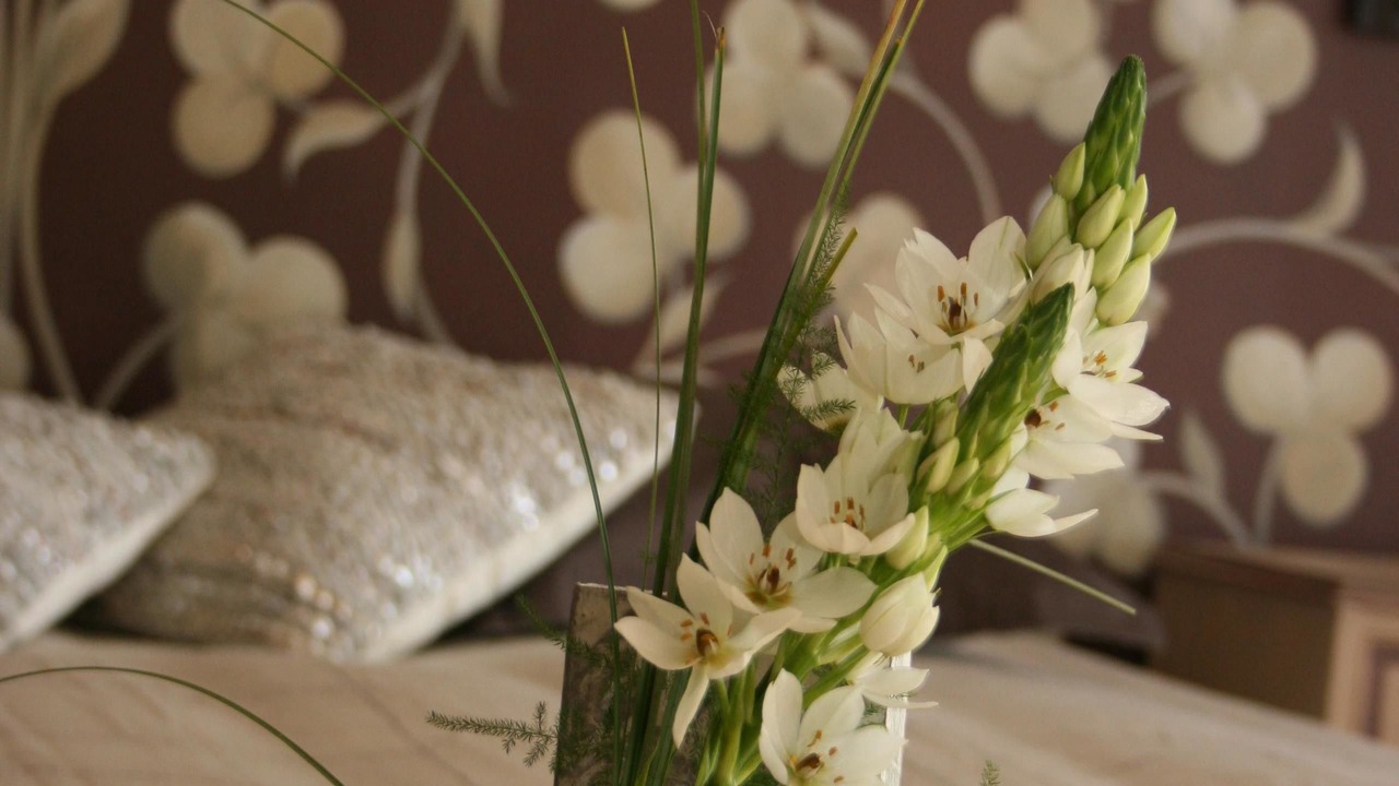 Photo of Others in Fougeres-sur-Bievre