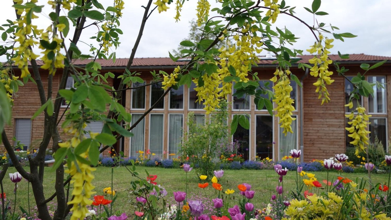 Photo of Outdoor in Neyron