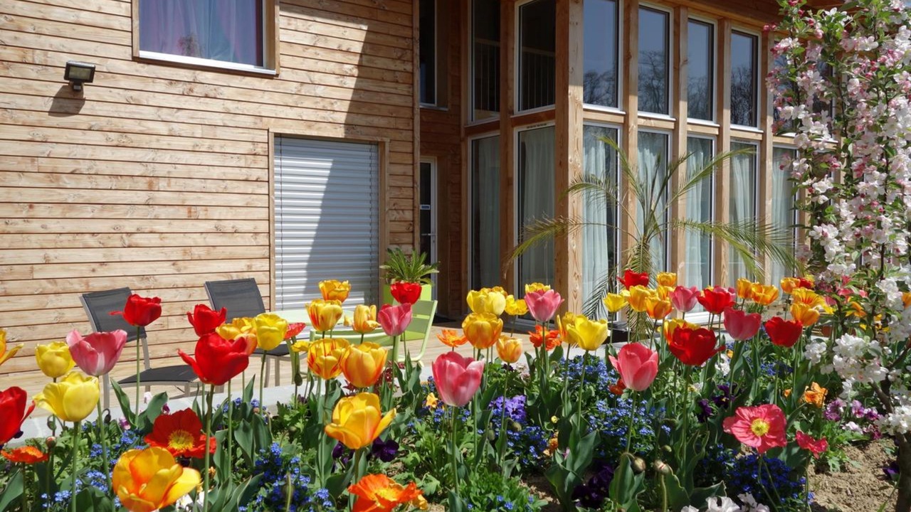 Photo of Outdoor in Neyron