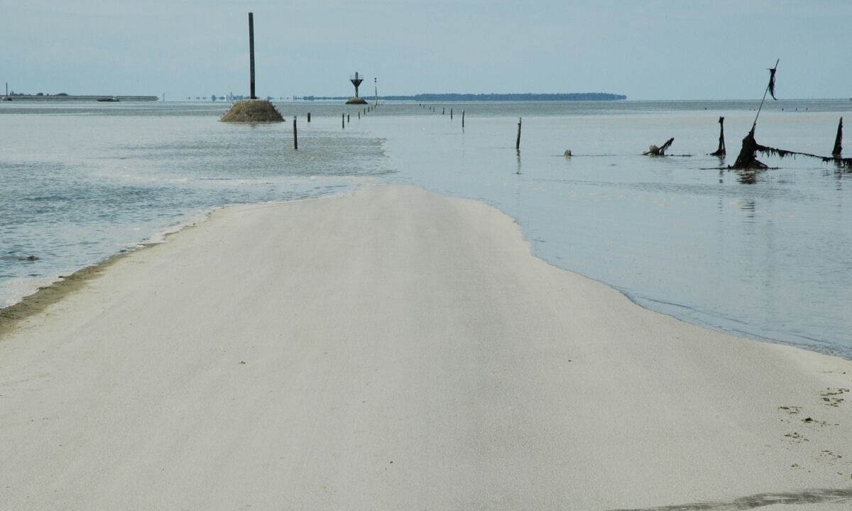 Photo of Others in Beauvoir-sur-Mer