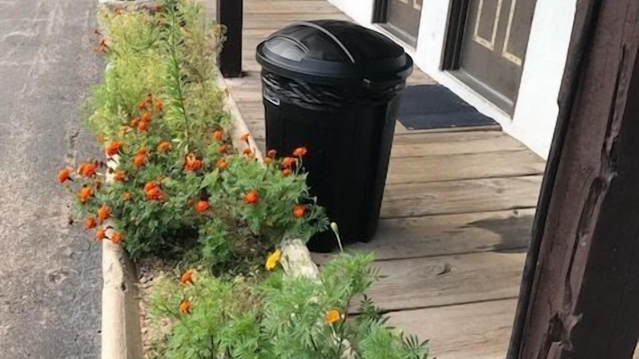 Photo of Outdoor in Guernsey