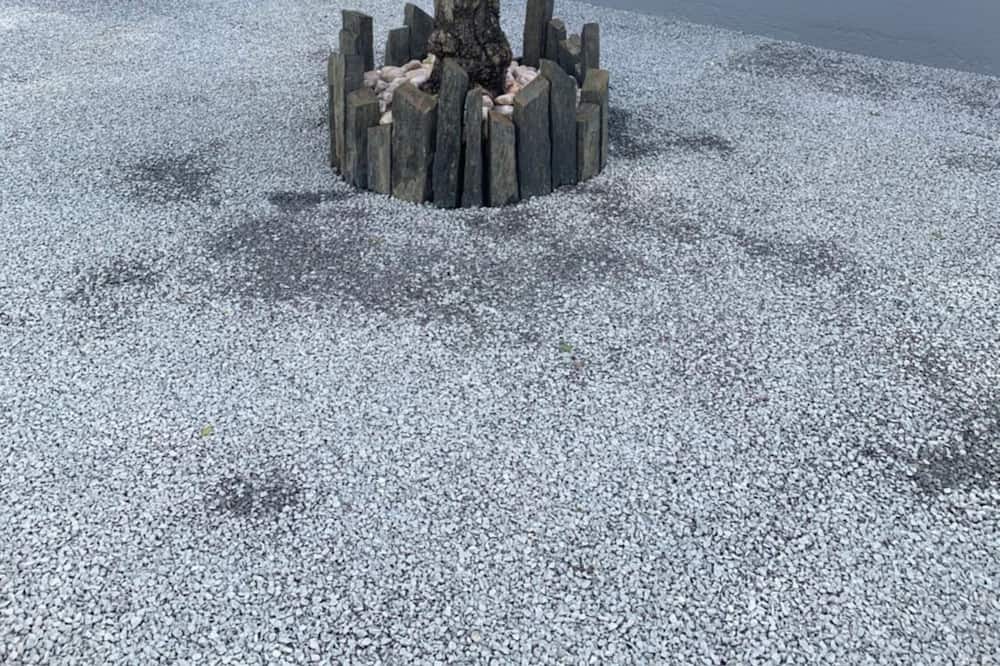 Photo of Outdoor in Beaumont-en-Veron