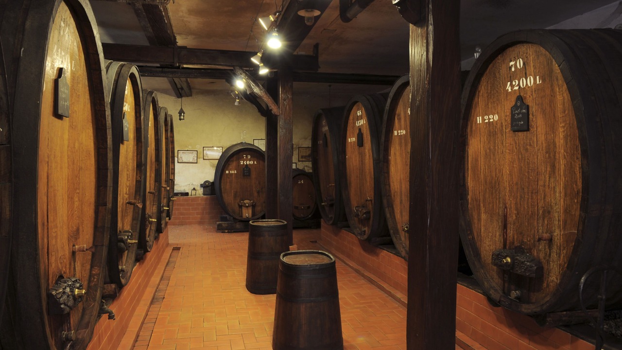 Photo of Others in Lapoutroie