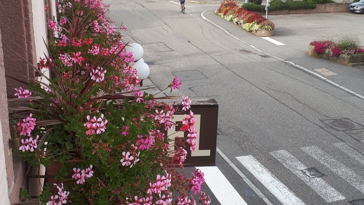 Photo of Outdoor in Lapoutroie