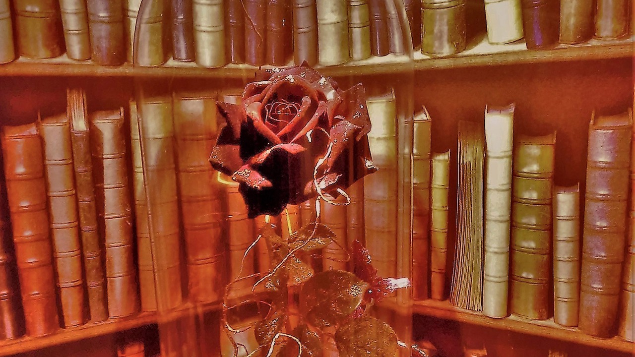 Photo of Others in Muidorge