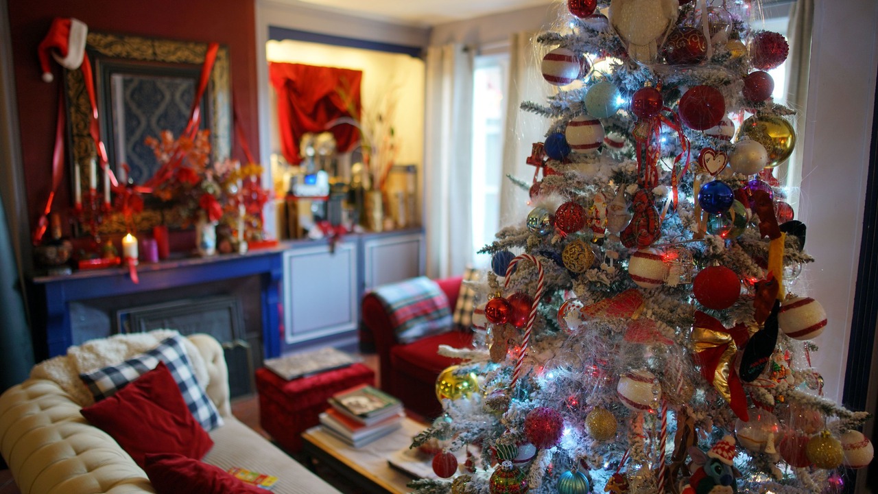 Photo of Livingroom in Muidorge