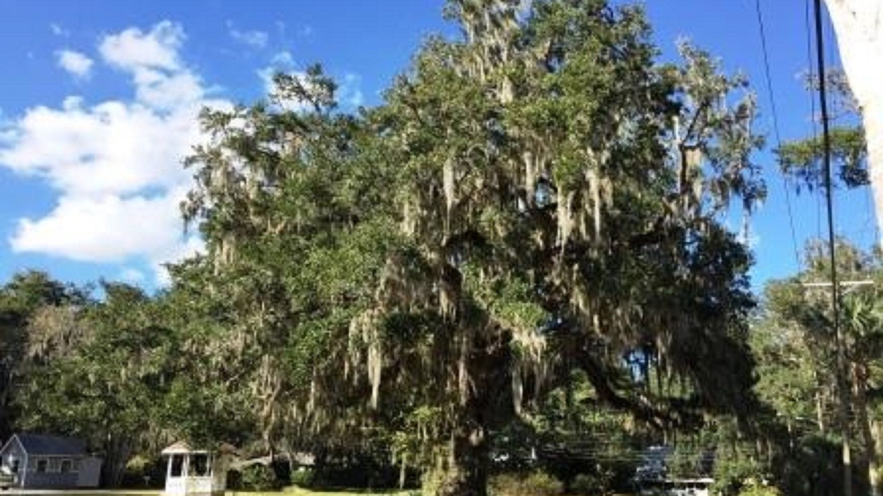 Photo of Others in Brooksville