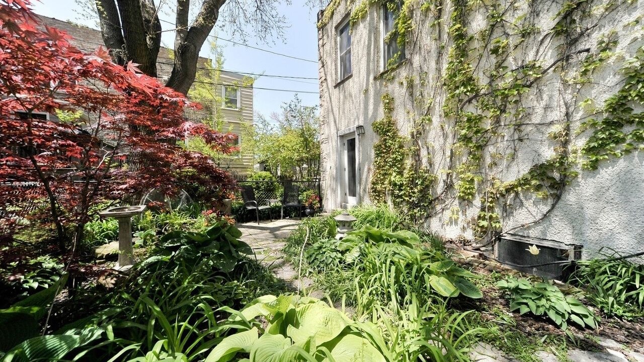 Photo of Outdoor in Edgewater