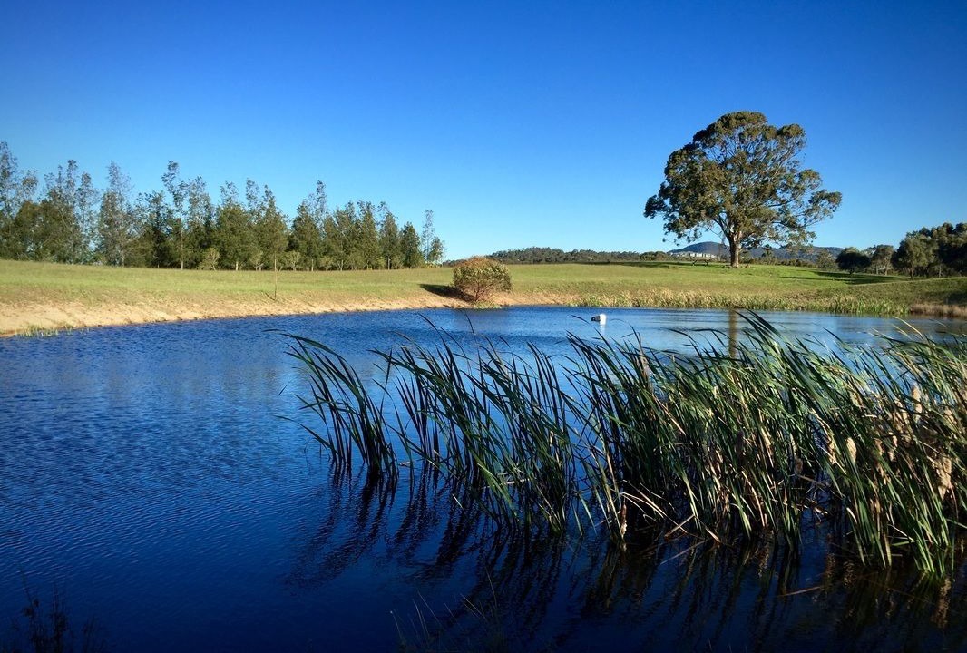 Photo of Outdoor in Pokolbin