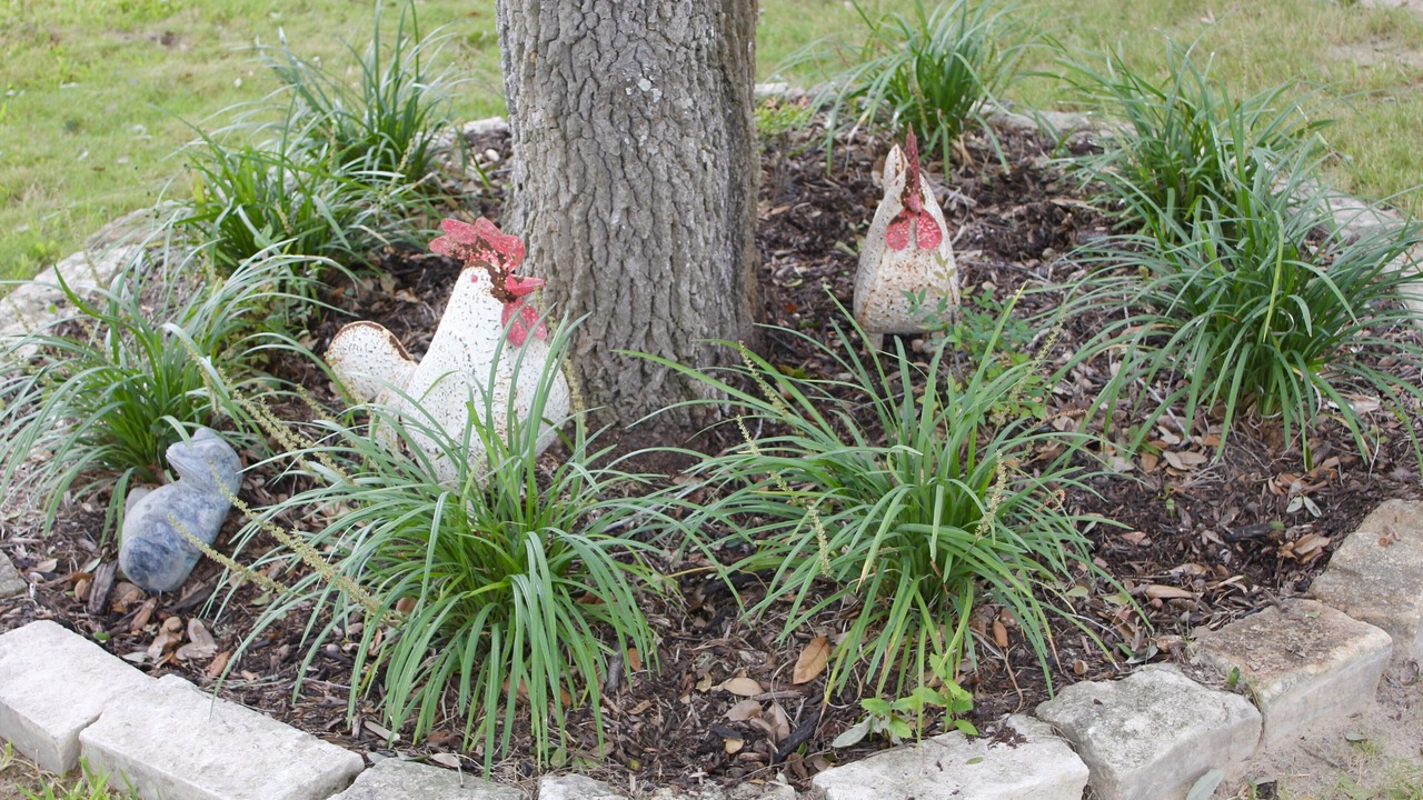 Photo of Outdoor in Round Top