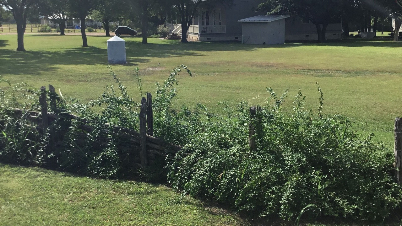 Photo of Others in Round Top