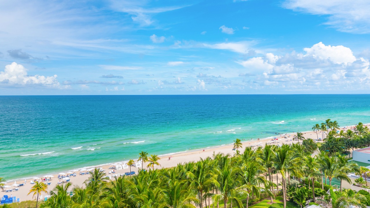 Photo of Others in Bal Harbour