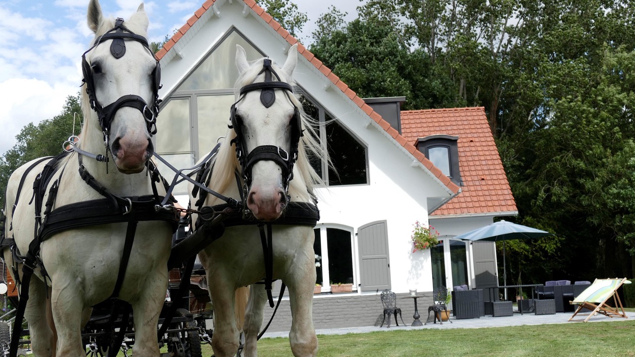 Photo of Outdoor in Berthen