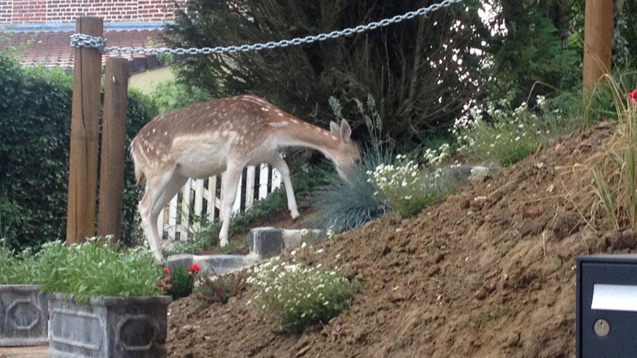 Photo of Outdoor in Berthen