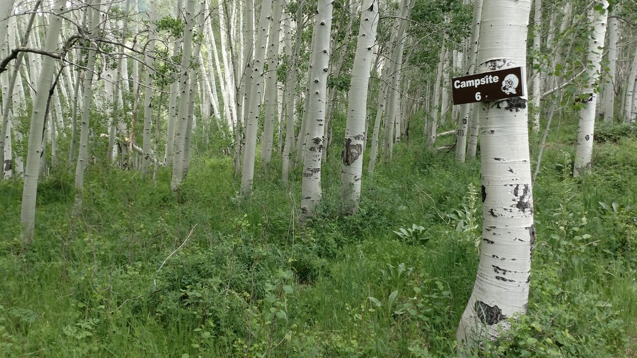 Photo of Outdoor in Monticello