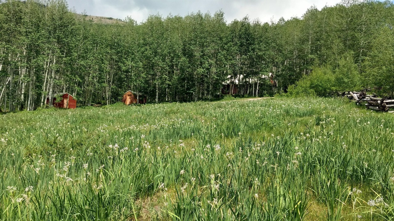 Photo of Outdoor in Monticello