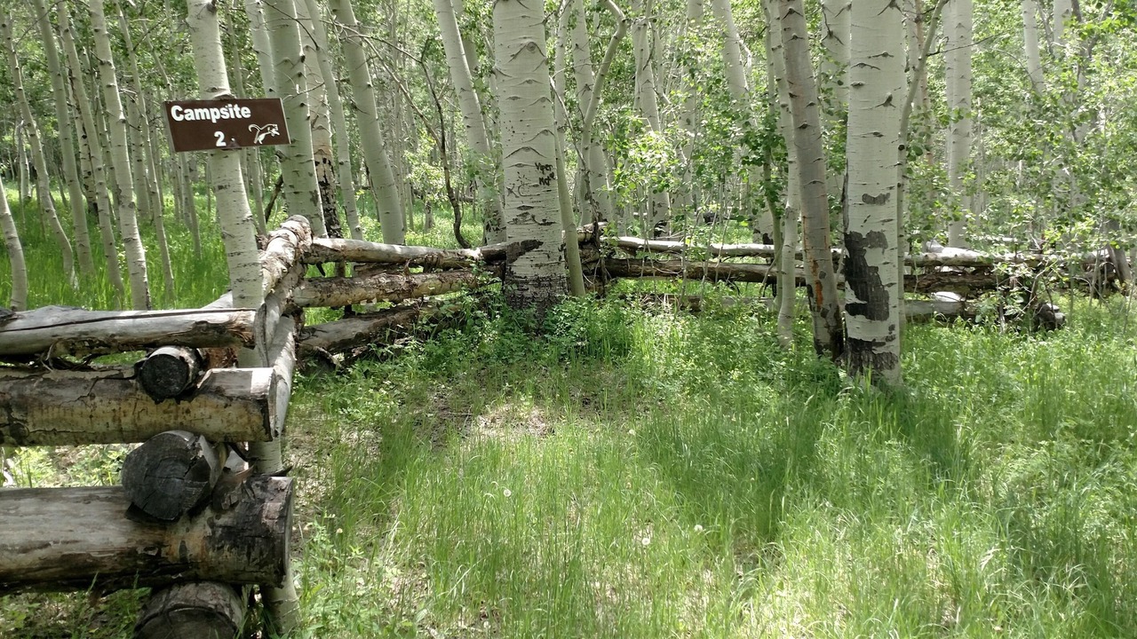 Photo of Outdoor in Monticello