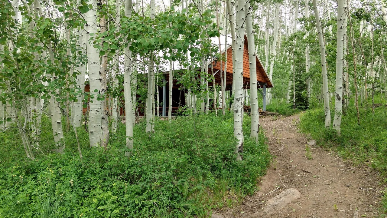 Photo of Outdoor in Monticello