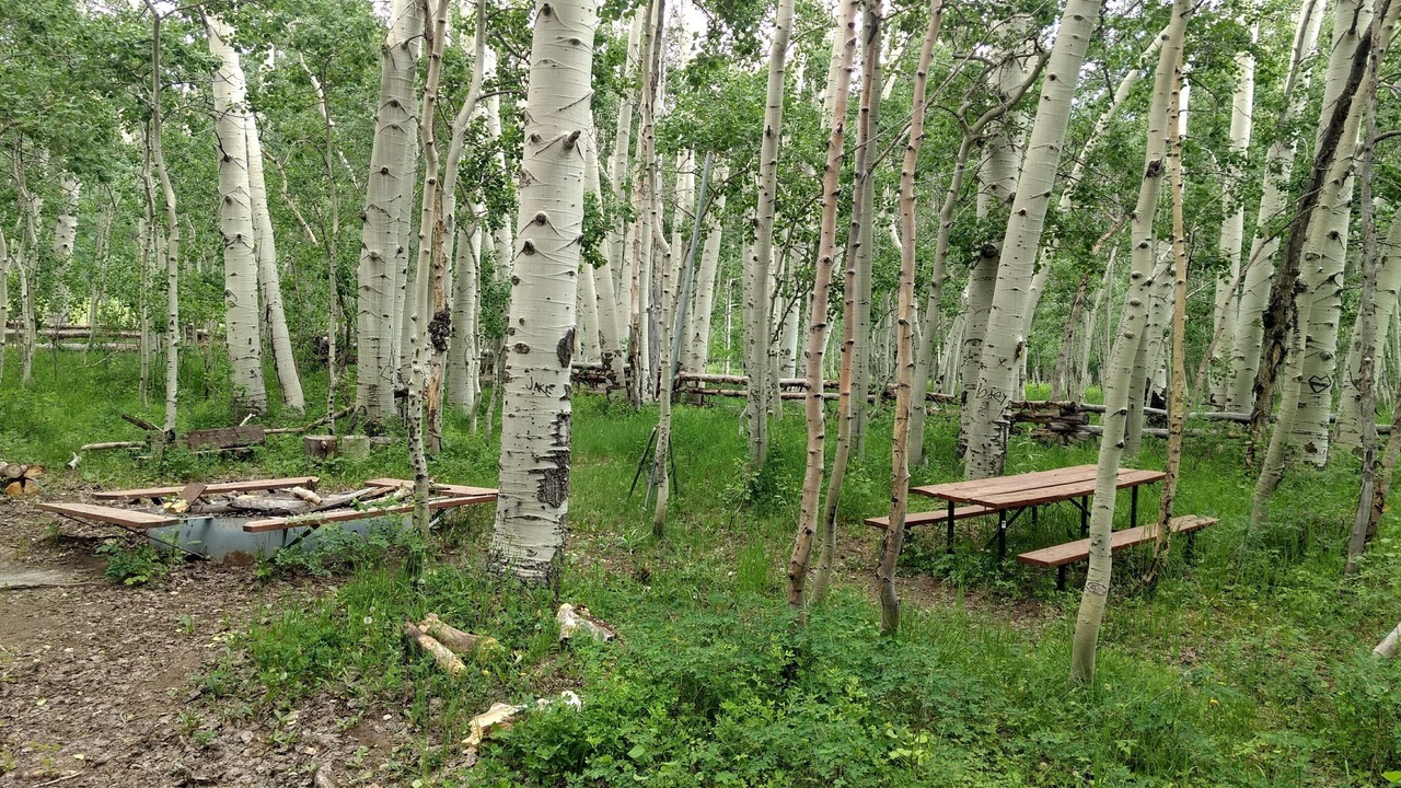 Photo of Outdoor in Monticello