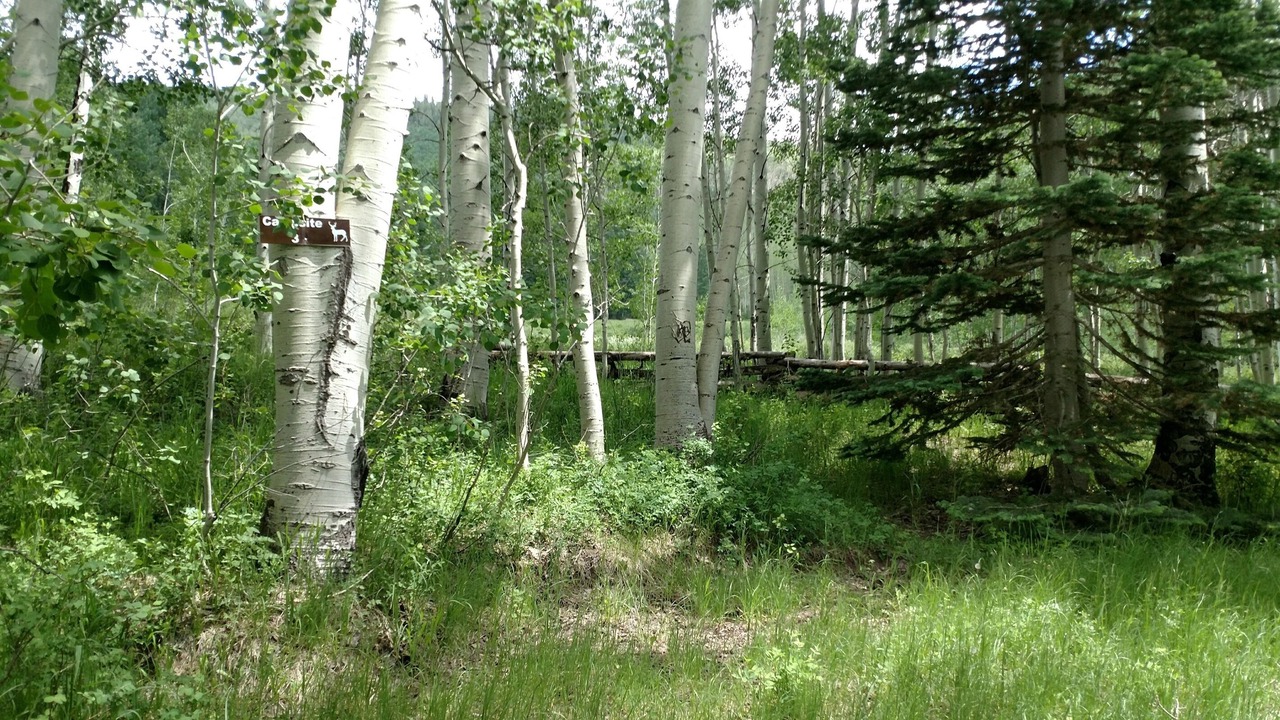Photo of Outdoor in Monticello