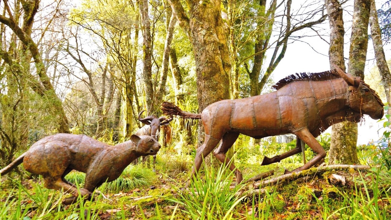 Photo of Outdoor in Te Popo