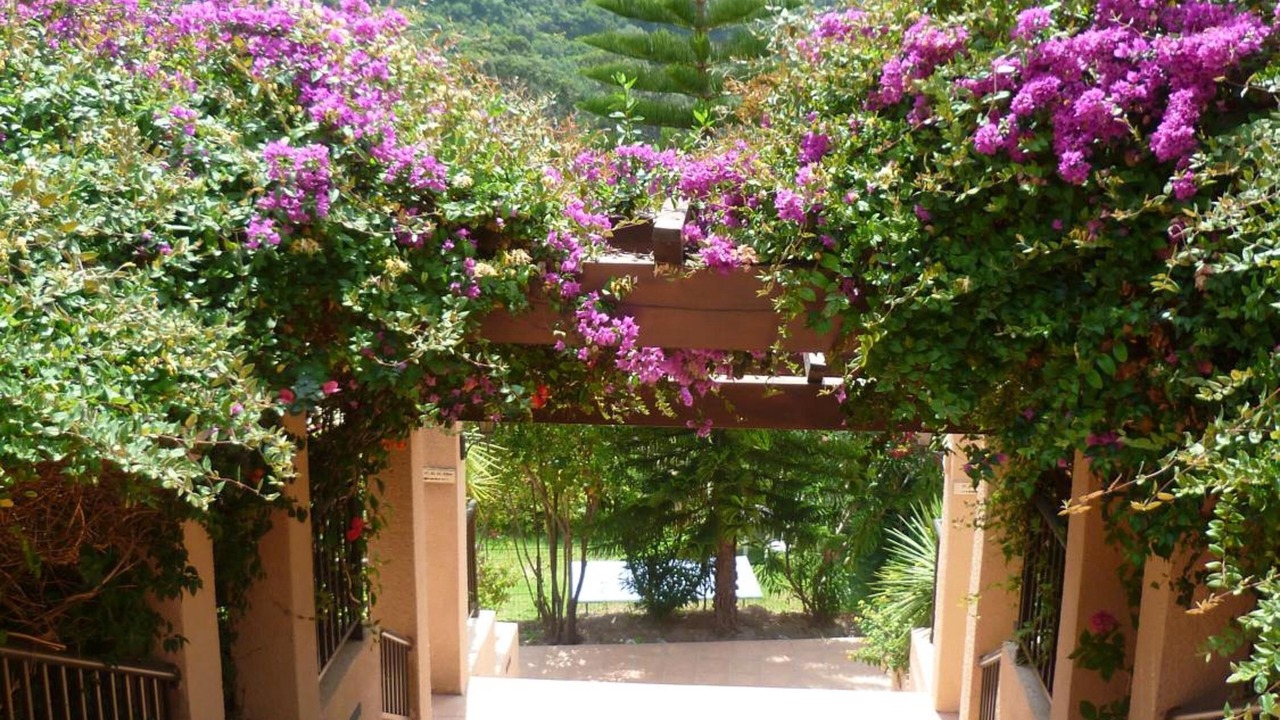 Photo of Outdoor in Porto